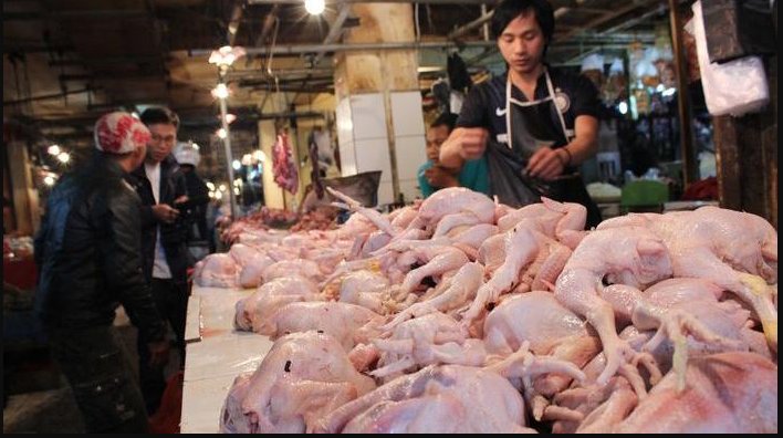 Daging Ayam Harga Melambung! Simak Penyebabnya! Ilustrasi Harga Daging Ayam Naik (.inet)