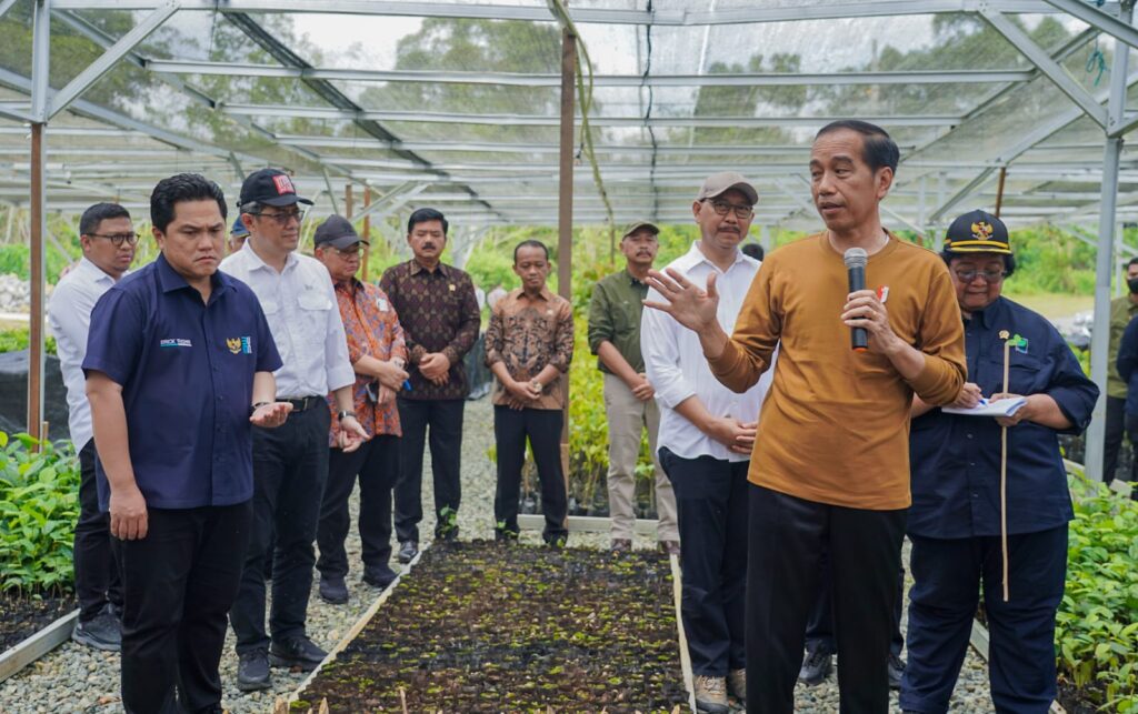 Penghijauan IKN: Persemaian Mentawir Siap Produksi 15 Juta Bibit Tanaman Jokowi evaluasi penghijauan IKN