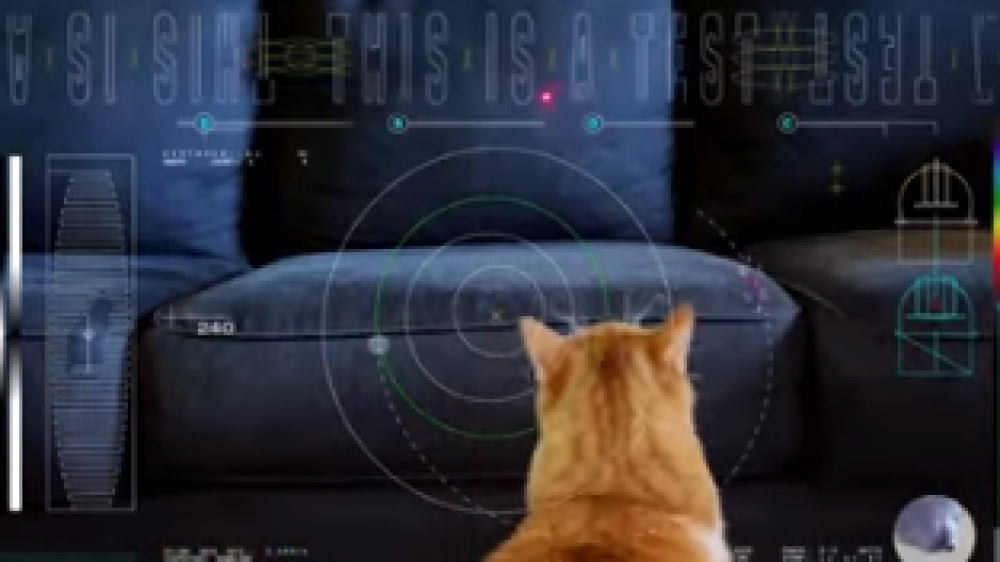 NASA Kirim Video Kucing Taters dari Luar Angkasa NASA-kirim-video-kucing-taters-dari-luar-angkasa