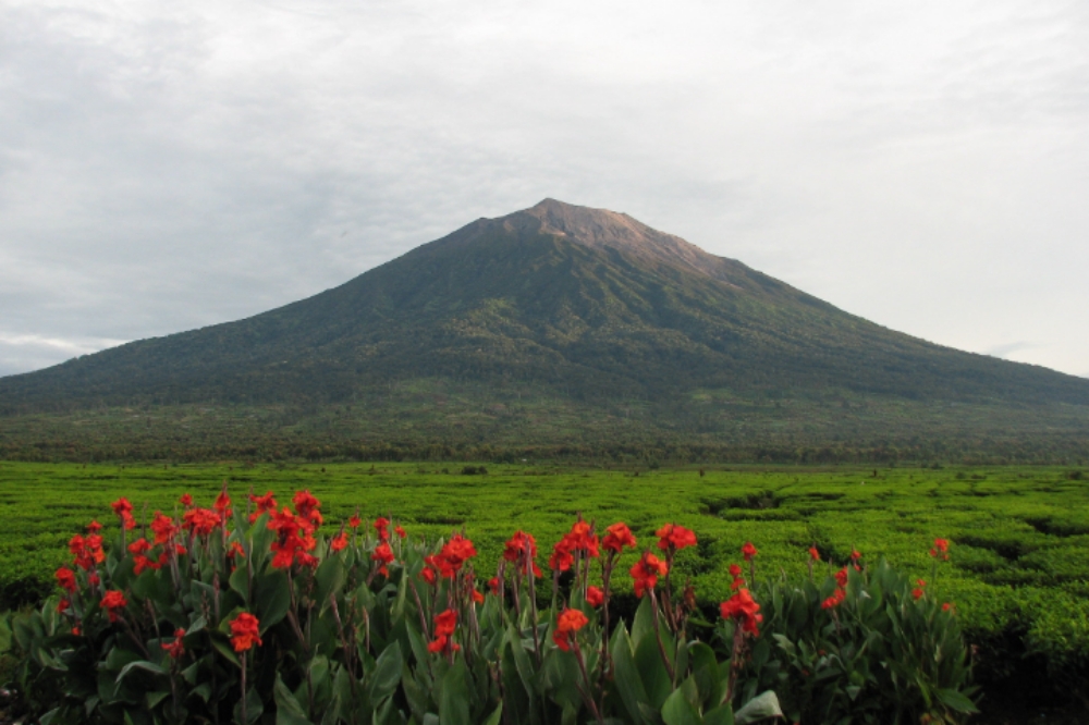 PVMBG Ungkap Kondisi Terkini Gunung Kerinci PVMBG ungkap kondisi terkini Gunung Kerinci